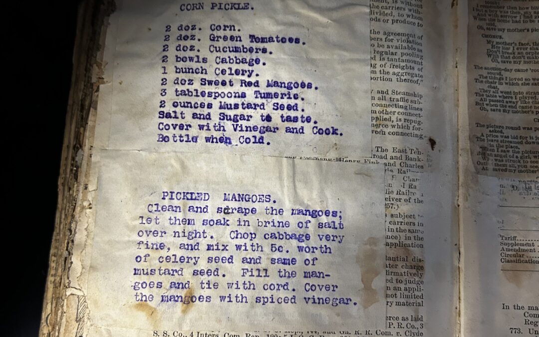 New Weekly Blog: Archive Highlights